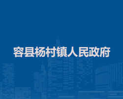 容县杨村镇人民政府