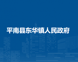 平南县东华镇人民政府