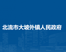 北流市大坡外镇人民政府
