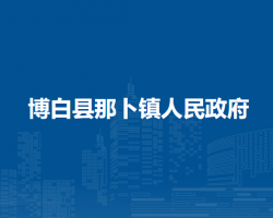 博白县那卜镇人民政府