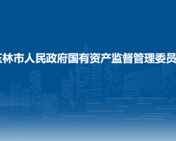 玉林市人民政府国有资产监