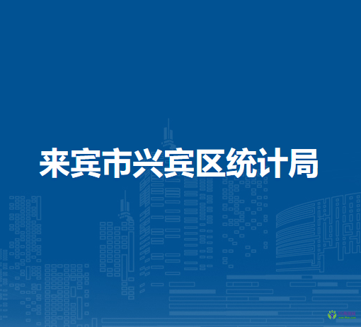 来宾市兴宾区统计局