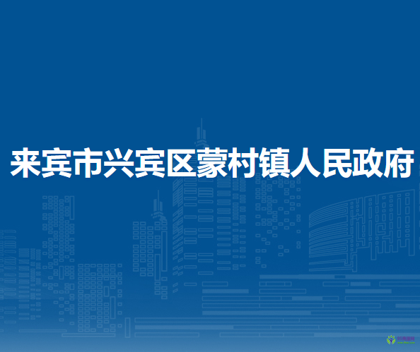 来宾市兴宾区蒙村镇人民政府