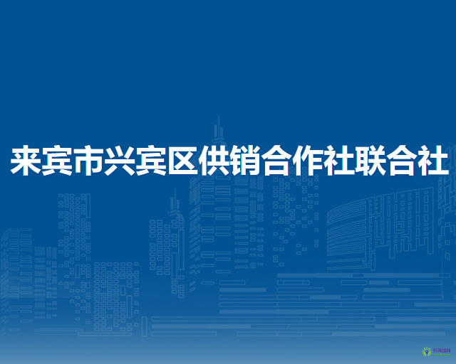 来宾市兴宾区供销合作社联合社