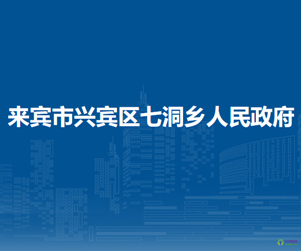 来宾市兴宾区七洞乡人民政府