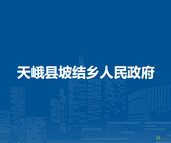 天峨县坡结乡人民政府