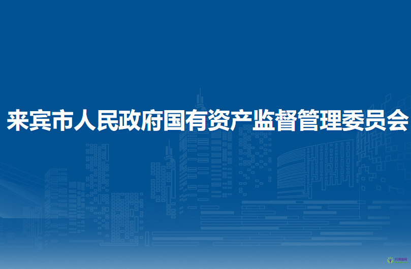 来宾市人民政府国有资产监督管理委员会