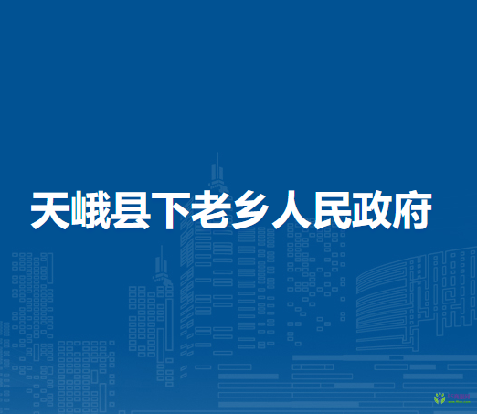 天峨县下老乡人民政府