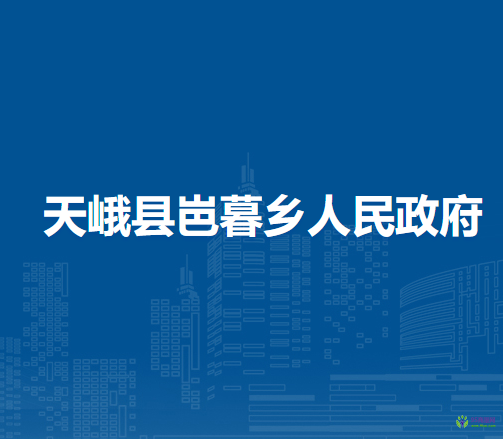 天峨县岜暮乡人民政府