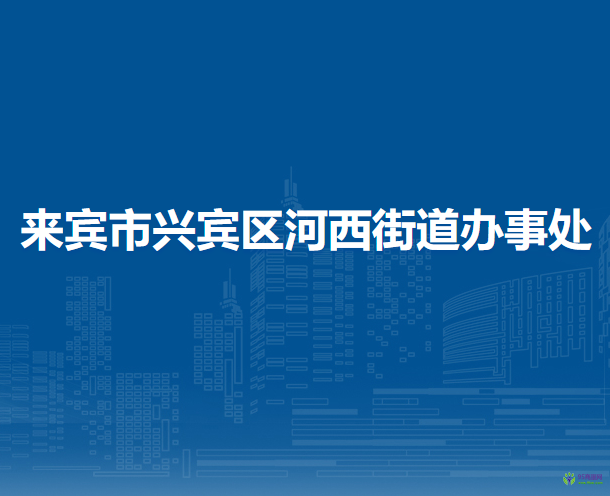 来宾市兴宾区河西街道办事处
