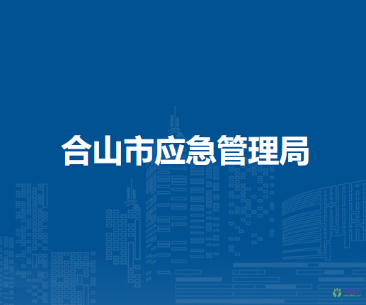 合山市应急管理局