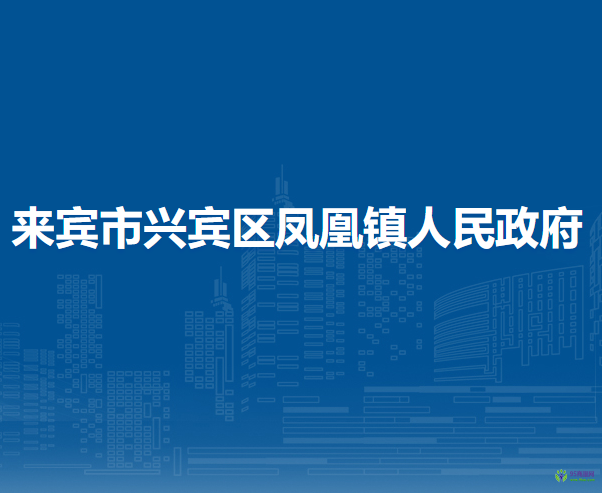 来宾市兴宾区凤凰镇人民政府