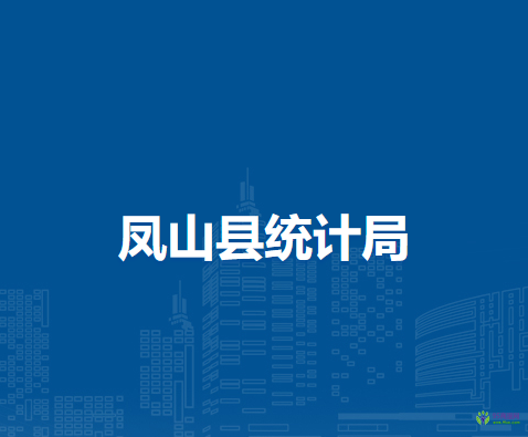 凤山县统计局