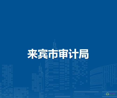 来宾市审计局