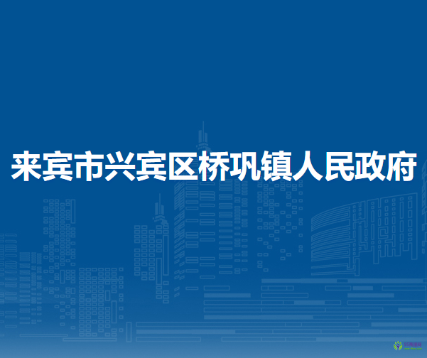 来宾市兴宾区桥巩镇人民政府