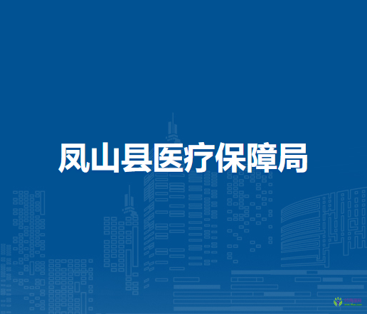 凤山县医疗保障局