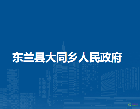 东兰县大同乡人民政府
