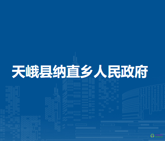 天峨县纳直乡人民政府
