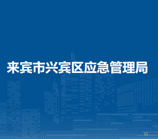 来宾市兴宾区应急管理局