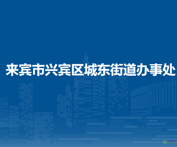 来宾市兴宾区城东街道办事处