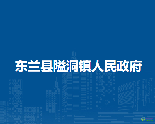 东兰县隘洞镇人民政府