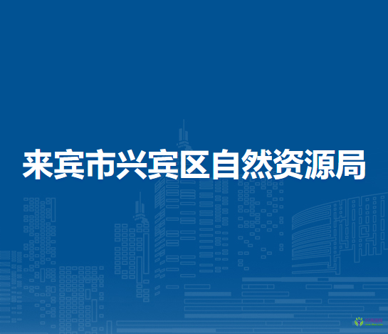 来宾市兴宾区自然资源局