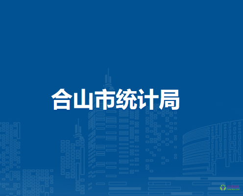 合山市统计局