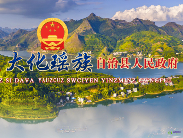 大化县人民政府
