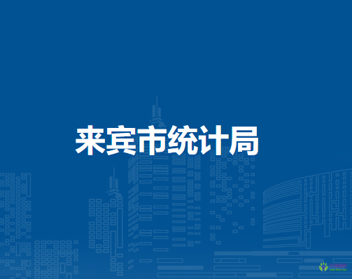 来宾市统计局