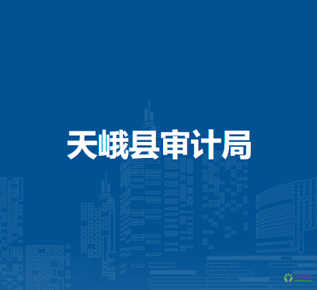 天峨县审计局