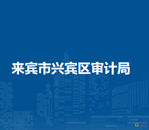 来宾市兴宾区审计局