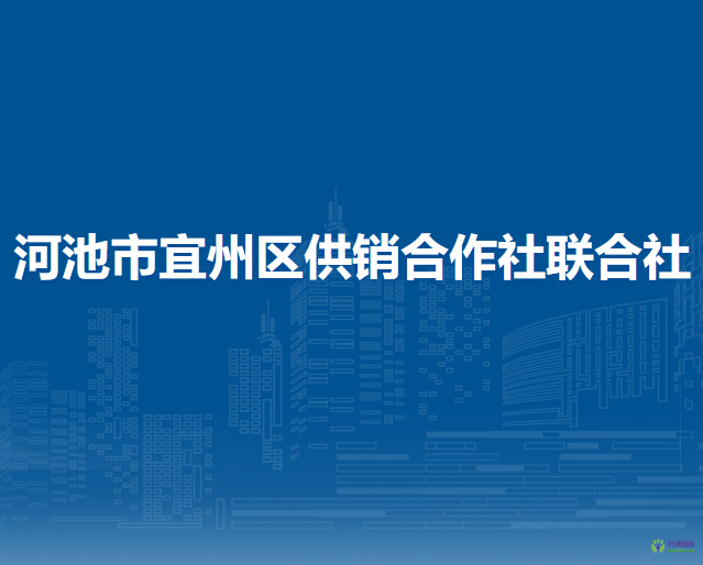 河池市宜州区供销合作社联合社
