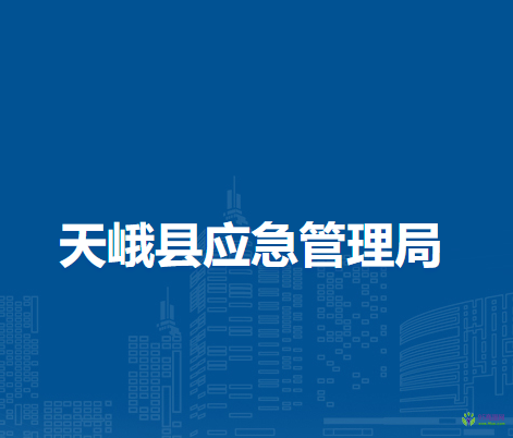天峨县应急管理局