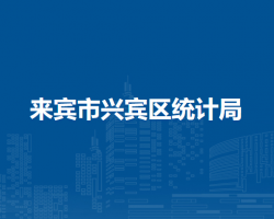 来宾市兴宾区统计局默认相册