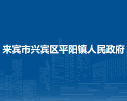 来宾市兴宾区平阳镇人民政府