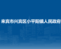 来宾市兴宾区小平阳镇人民政府