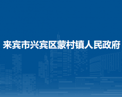 来宾市兴宾区蒙村镇人民政府默认相册