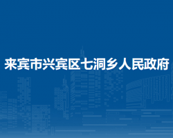 来宾市兴宾区七洞乡人民政府默认相册