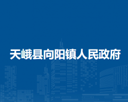 天峨县向阳镇人民政府