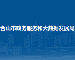 合山市政务服务和大数据发展局