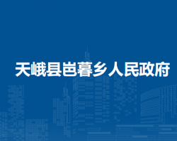 天峨县岜暮乡人民政府