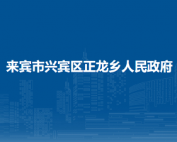 来宾市兴宾区正龙乡人民政府