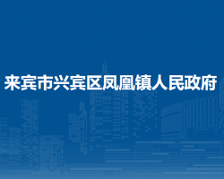 来宾市兴宾区凤凰镇人民政府默认相册