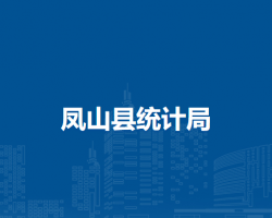 凤山县统计局