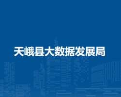 天峨县大数据发展局"