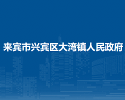 来宾市兴宾区大湾镇人民政府默认相册