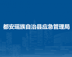 都安瑶族自治县应急管理局