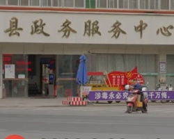巴马县政务服务中心