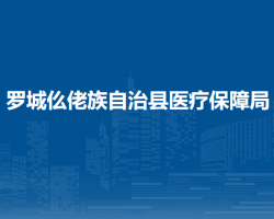 罗城仫佬族自治县医疗保障