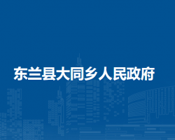 东兰县大同乡人民政府